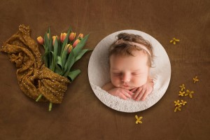 Timeless Newborn Baby Girl Pictures Greer SC
