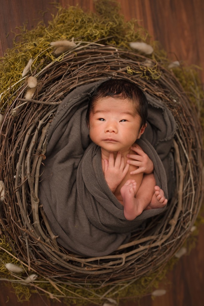 Newborn Baby Photographer Greer SC