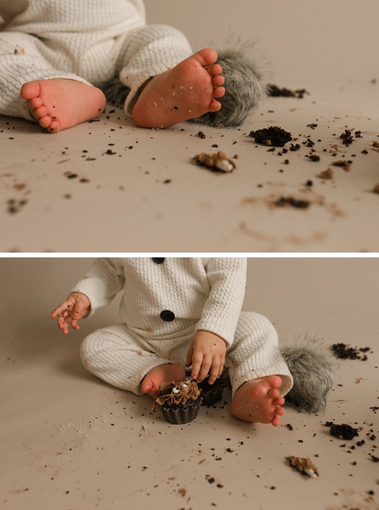 Simpsonville SC Cake Smash Photographer