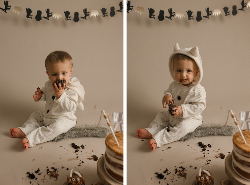 Where the Wild Things Are Cake Smash Photos Greenville SC