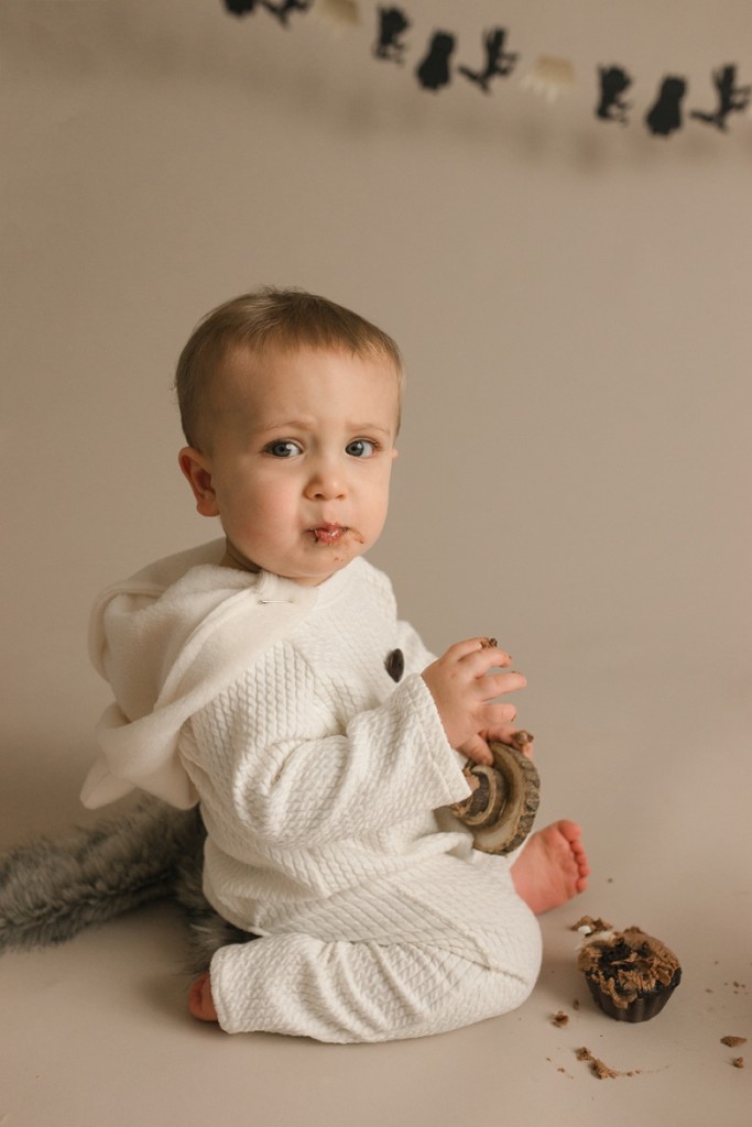 Where the Wild Things Are Cake Smash Photos Simpsonville SC