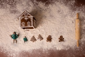 Greenville SC Gingerbread Photos