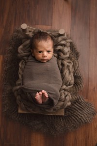 Greer SC Newborn Photographer