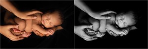 Classic Timeless Simple Newborn Photography Spartanburg SC