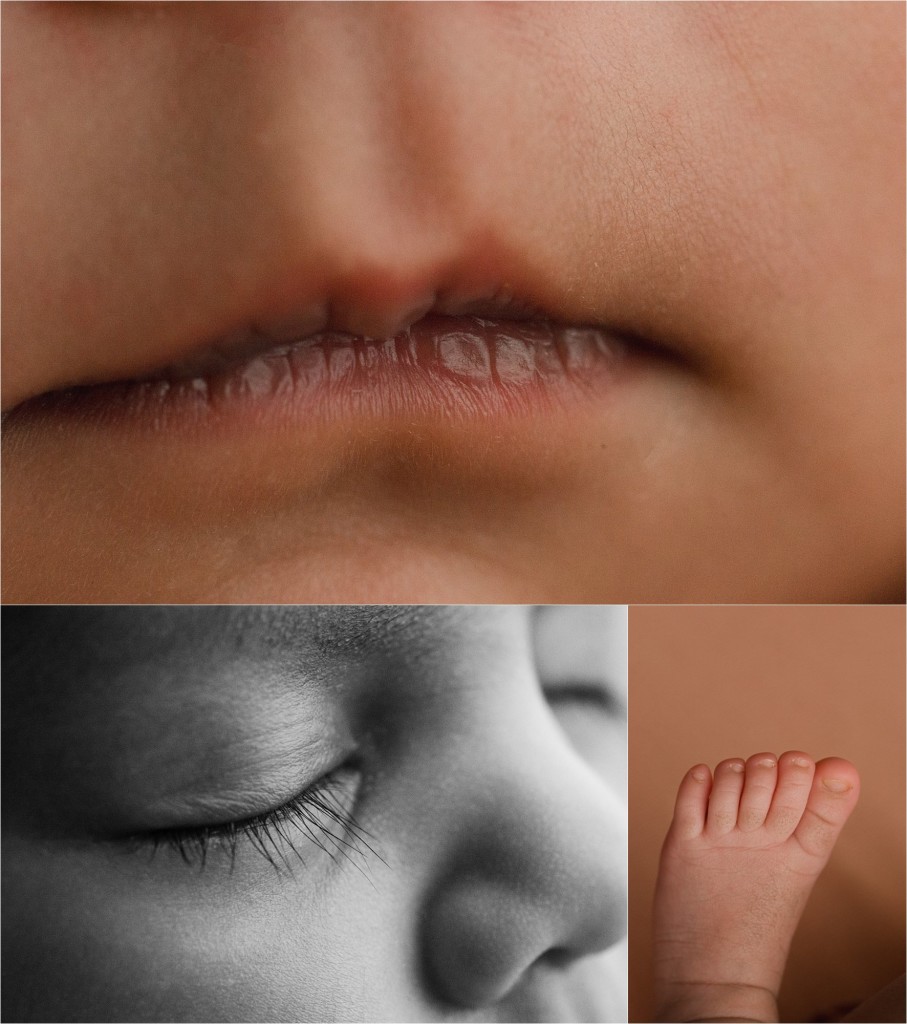 Natural Understated Organic Newborn Baby Girl Photos Simpsonville SC