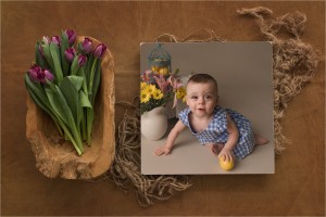 Retro Picnic Girls Cake Smash Photography Greenville SC