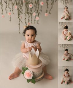 Floral Princess Cake Smash Photography Simpsonville SC