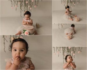 Floral Princess Cake Smash Photography Travelers Rest SC