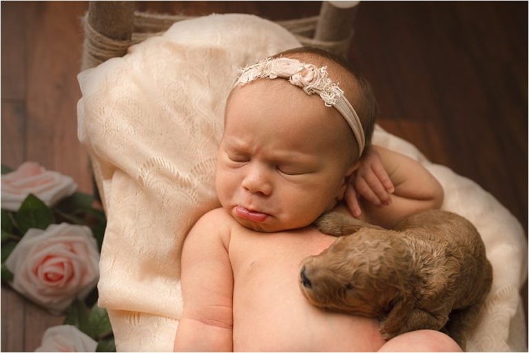 Newborn Baby Photography with Puppies Greenville SC Doodles Making a