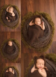 Greenville SC Infant Pictures s