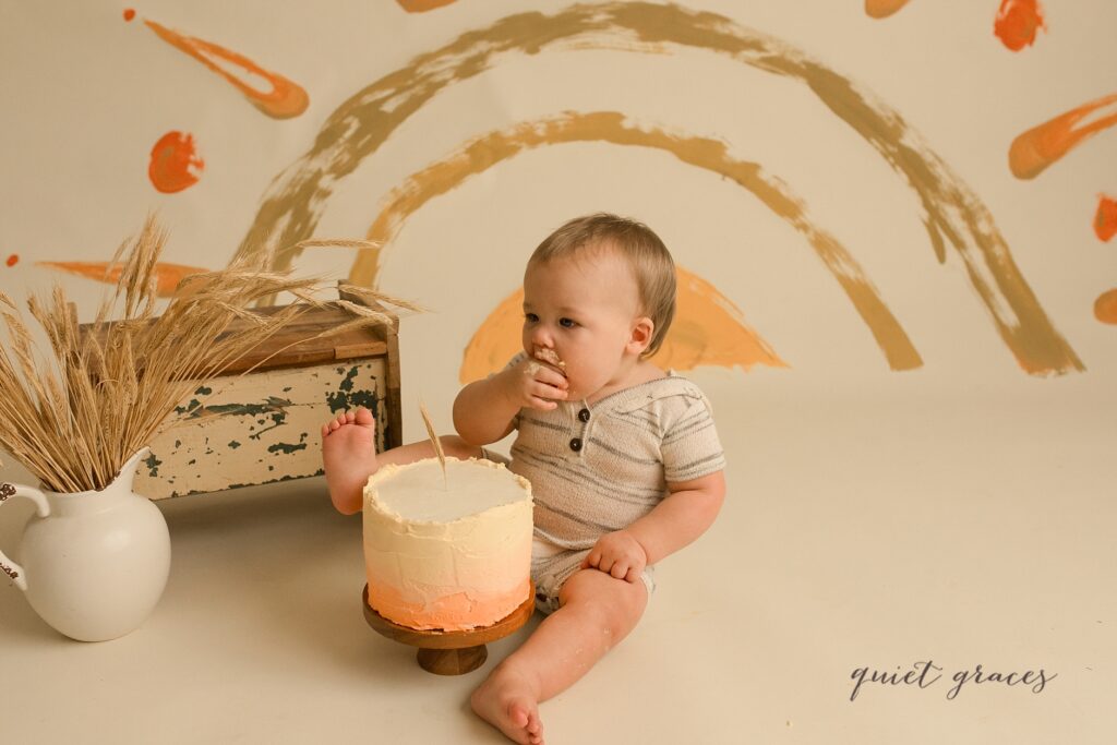 Greenville SC Cake Smash Photography