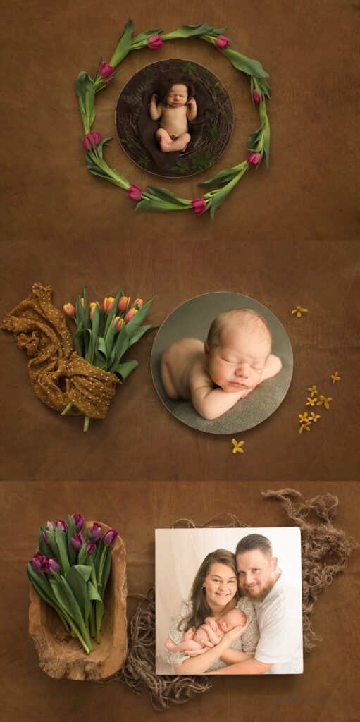 Greenville SC Newborn Photographer