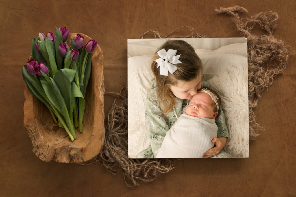 Big Sister with Newborn Baby Photographer Mauldin SC